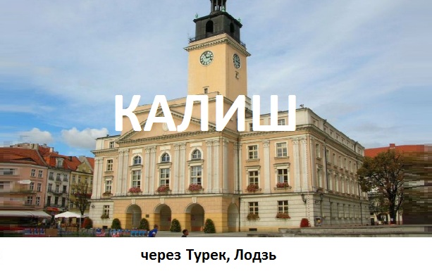 Бетта